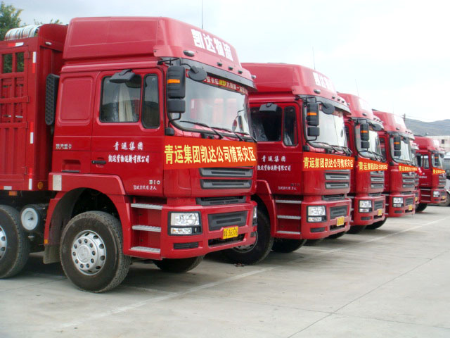 公司车队.jpg